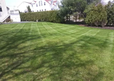 Affordable-Landscaper