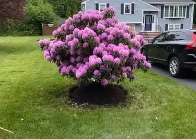 Dependable-Clean-Cut-Landscaping