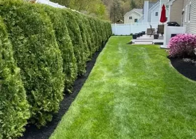Impeccable-Clean-Cut-Landscaping