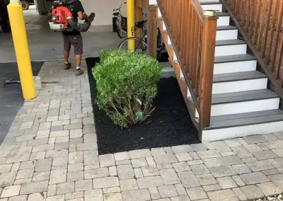 Impeccable-Cutting-Edge-Landscaping