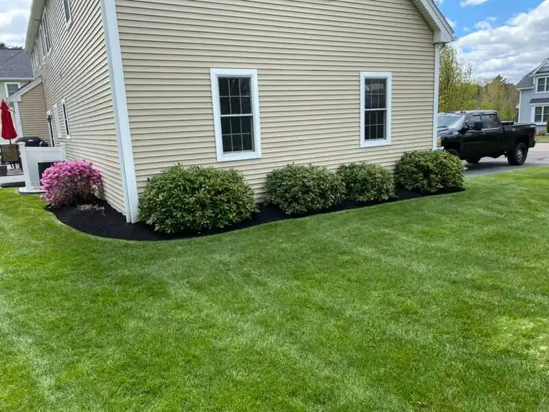 Professional Cutting Edge Landscaping