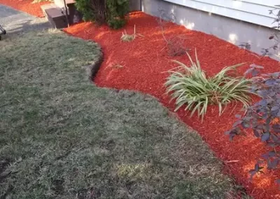 Professional-Landscaping-Contractor