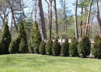 Reliable-Landscaping-Contractor